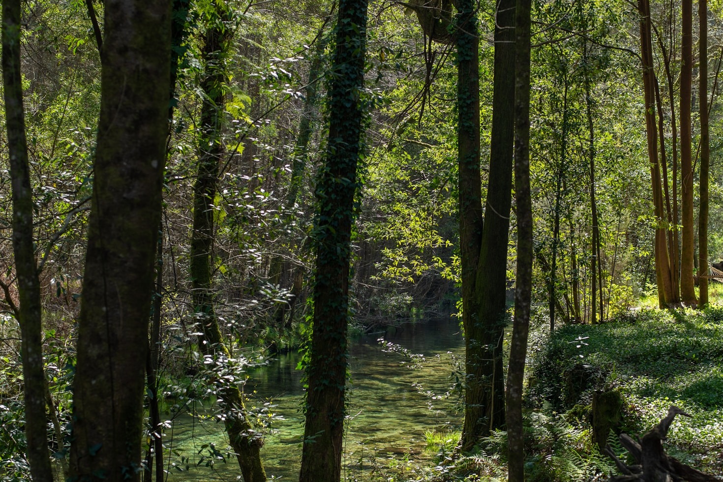 5 Simple Exercises to Improve Your Flexibility